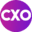 CXO Digitalpulse favicon