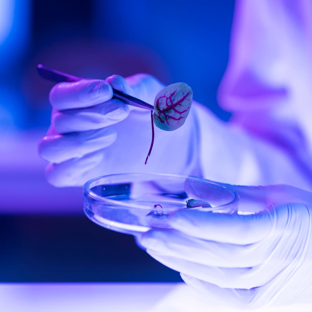 New research initiative targets biology with quantum computing and AI | Digital Watch Observatory