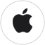 Apple favicon
