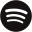 Spotify favicon
