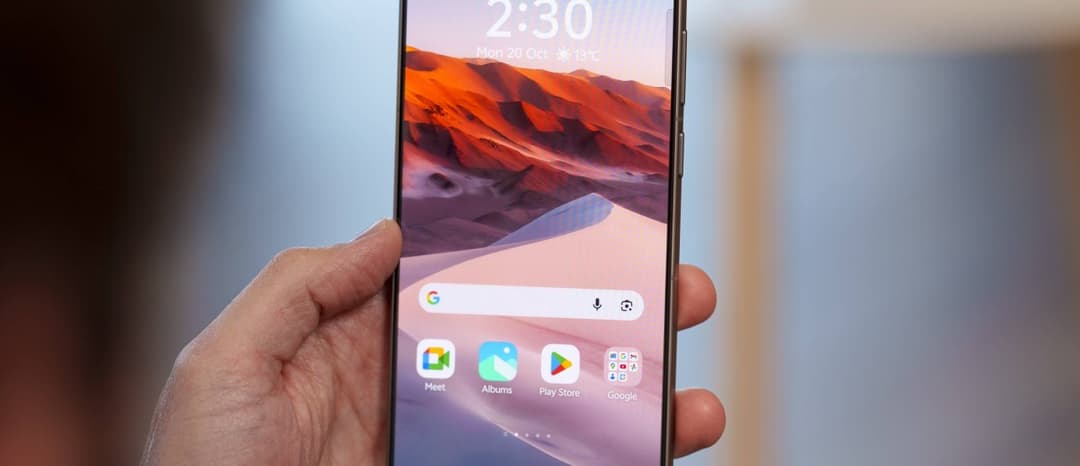 vivo X500 Pro Max display details leak